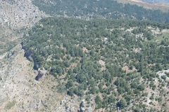 AREZ-TANNOURINE-2-min