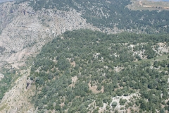 AREZ-TANNOURINE-3-min