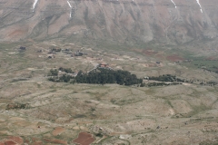 CEDARS-FOREST-2-min