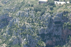DIMANE-6-min