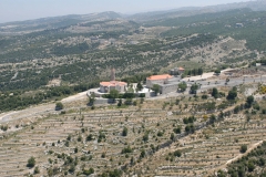 SAINT-CHARBEL-ANNAYA-7